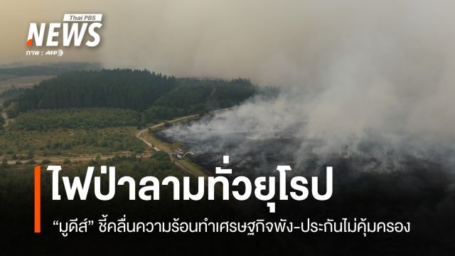 คลื่นร้อนระลอก 5 ไฟป่าถล่มยุโรป ธุรกิจเสียหาย-ประกันไม่คุ้มครอง