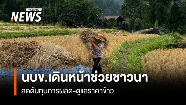 นบข.เดินหน้าช่วยชาวนา ลดต้นทุนการผลิต-ดูแลราคาข้าว