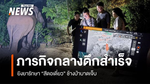 ภารกิจกลางดึกสำเร็จ ทีมสัตวแพทย์ยิงยารักษา "สีดอเดี่ยว" ช้างป่าบาดเจ็บ