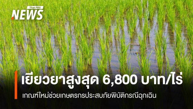 มีผลบังคับแล้ว เกณฑ์ใหม่เงินเยียวยาเกษตรกร ปรับเพิ่มสูงสุด 6,800 บาท/ไร่