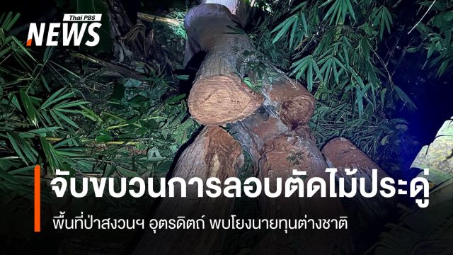 จับขบวนการลอบตัด "ไม้ประดู่" ป่าสงวนฯ อุตรดิตถ์ โยงนายทุนต่างชาติ