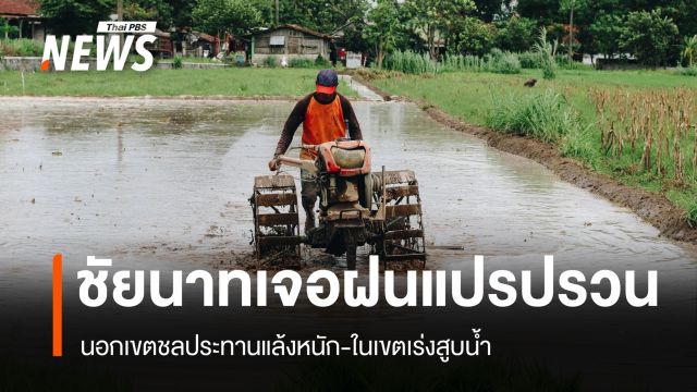 อากาศแปรปรวน ชาวนาชัยนาทเร่งสูบน้ำสำรอง ป้องกันข้าวตั้งท้องเสียหาย
