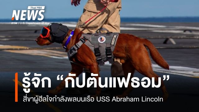 รู้จัก "กัปตันแฟธอม" สี่ขาผู้ฮีลใจทหารเรือสหรัฐฯ กลางมหาสมุทร