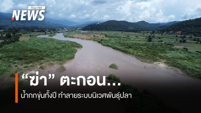 “ฆ่า” ตะกอน ...น้ำกกขุ่นทั้งปี ทำลายระบบนิเวศพันธุ์ปลา 