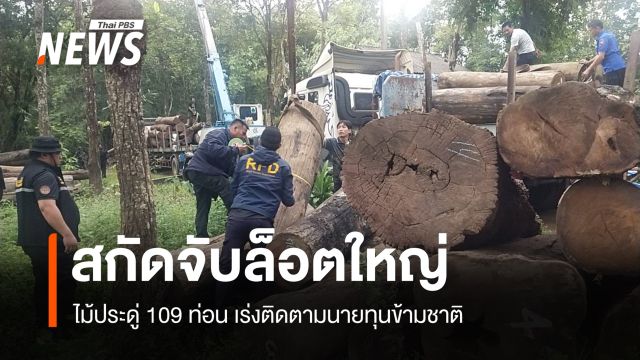 สกัดจับ "ไม้ประดู่" ล็อตใหญ่ 109 ท่อน เร่งติดตามนายทุนข้ามชาติ