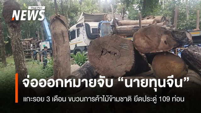 แกะรอย 3 เดือน จ่อขอออกหมายจับ "นายทุนจีน" ขบวนการค้าไม้ประดู่ข้ามชาติ 