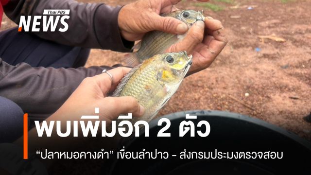 จับได้อีก 2 ตัว "ปลาหมอคางดำ" ในเขื่อนลำปาว จ.กาฬสินธุ์ 