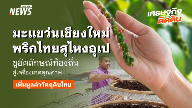 "มะแขว่นเชียงใหม่–พริกไทยสุไหงอุเป" ชูอัตลักษณ์ท้องถิ่น สู่เครื่องเทศคุณภาพ เพิ่มมูลค่าวัตถุดิบไทย   