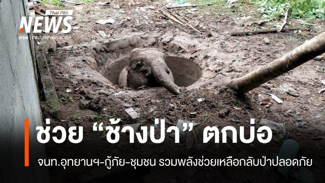 ช่วยชีวิต "ช้างป่า" ตกบ่อที่เขาชะเมา กลับเข้าป่าปลอดภัย