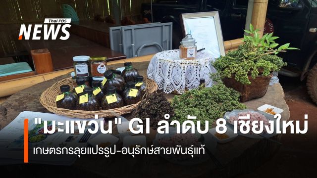 "มะแขว่นเชียงใหม่" คว้า GI โป่งแยงยกระดับชู "ผงโรยข้าว" อัปมูลค่าสร้างรายได้