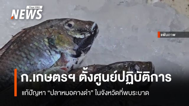  ก.เกษตรฯ ตั้งศูนย์แก้ปัญหา "ปลาหมอคางดำ" ในจังหวัดที่พบระบาด