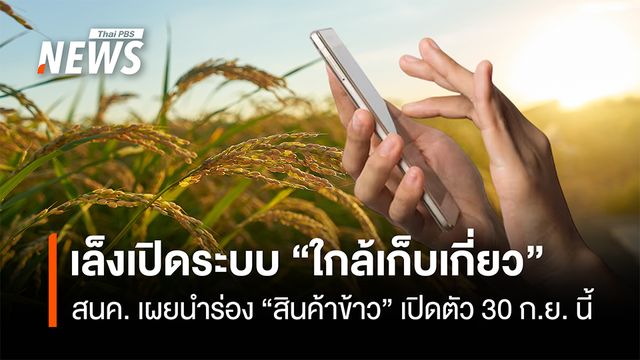 สนค.ใช้ AI ผุด "ระบบใกล้เก็บเกี่ยว" นำร่อง "สินค้าข้าว" เปิดตัว 30 ก.ย.