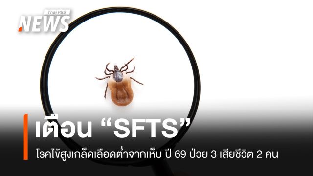 เตือน “SFTS” โรคไข้สูงเกล็ดเลือดต่ำจากเห็บ พบปี 69 เสียชีวิต 2 คน