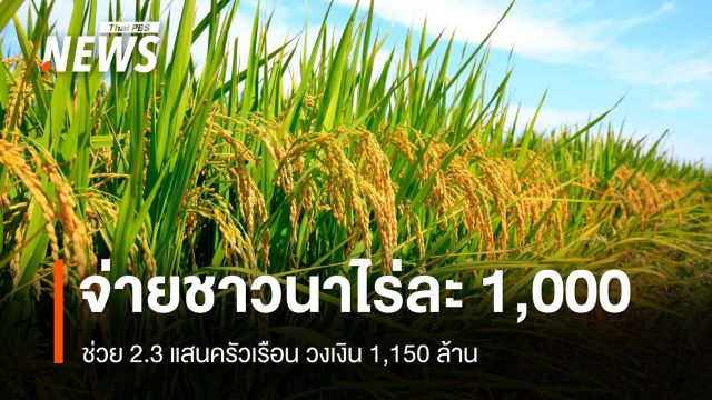 ครม.ไฟเขียวเพิ่ม 1,500 ล้าน จ่ายช่วยชาวนาไร่ละ 1,000 บาท สูงสุด 10,000 บาท