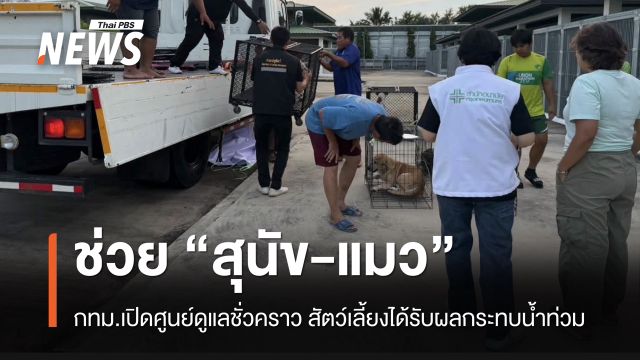 กทม.เปิดศูนย์ดูแลชั่วคราว ช่วย "สุนัข–แมว" รับผลกระทบน้ำท่วม