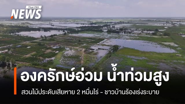 องครักษ์อ่วม น้ำท่วมสูง สวนไม้ประดับเสียหาย 2 หมื่นไร่ ชาวบ้านร้องเร่งระบาย