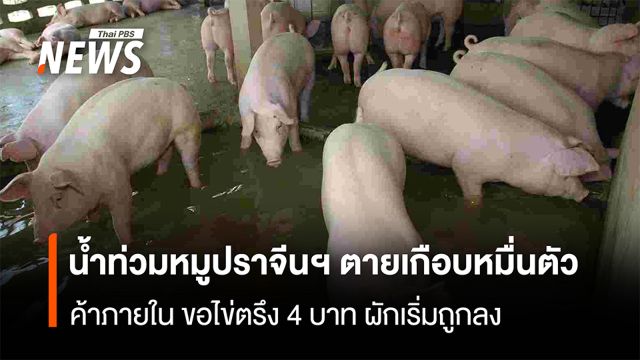 น้ำท่วมหมูปราจีนฯ ตายเกือบหมื่นตัว ค้าภายใน ขอไข่ตรึง 4 บาท ผักเริ่มถูกลง