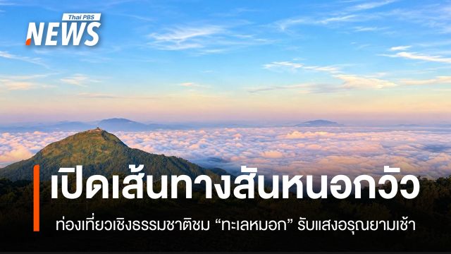 เปิดเส้นทางศึกษาธรรมชาติ "สันหนอกวัว" ชวนสัมผัสทะเลหมอกยามเช้าแห่งผืนป่าตะวันตก