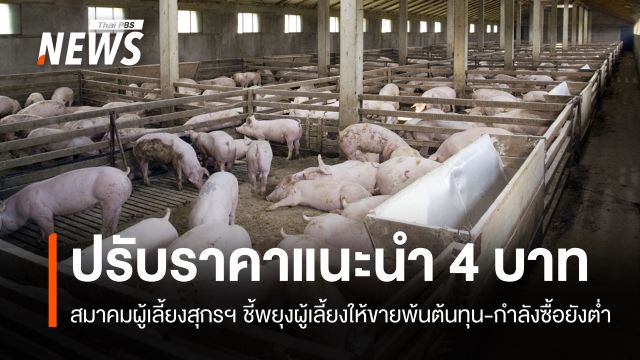 สมาคมหมูแจงปรับราคาแนะนำ 4 บาท พยุงผู้เลี้ยงให้ขายพ้นต้นทุน