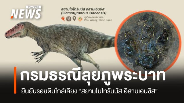 กรมธรณียันรอยตีนที่ภูพระบาท ใกล้เคียง "สยามโมไทรันนัส อีสานเอนซิส"