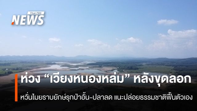 สำรวจ "เวียงหนองหล่ม" หลังขุดลอก หวั่นไมยราบยักษ์รุกป่าอั้น-ปลาลด แนะปล่อยธรรมชาติฟื้นตัวเอง