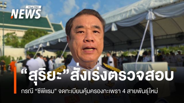 "สุริยะ" สั่งเร่งตรวจสอบ กรณี "ซีพีแรม" จดทะเบียนคุ้มครองกระเพรา 4 สายพันธุ์