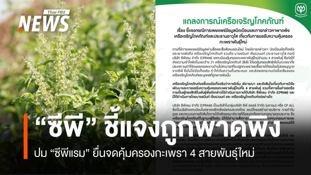 "ซีพี" ชี้แจงถูกพาดพิงปม "ซีพีแรม" ยื่นจดคุ้มครองกะเพรา 4 สายพันธุ์