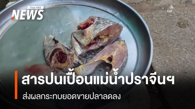 สารปนเปื้อนแม่น้ำปราจีนฯ กระทบยอดขายปลาลดลง