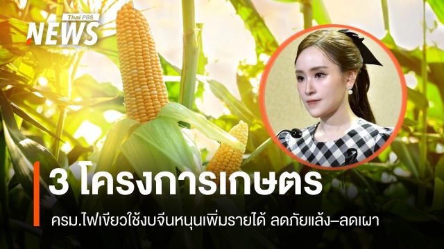ครม.ไฟเขียว 3 โครงการเกษตร ใช้งบจีนหนุนเพิ่มรายได้ ลดภัยแล้ง–ลดเผา