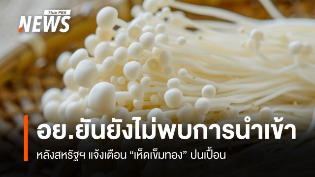 อย.ยันยังไม่พบการนำเข้า "เห็ดเข็มทอง" ปนเปื้อน หลังสหรัฐฯ แจ้งเตือน 