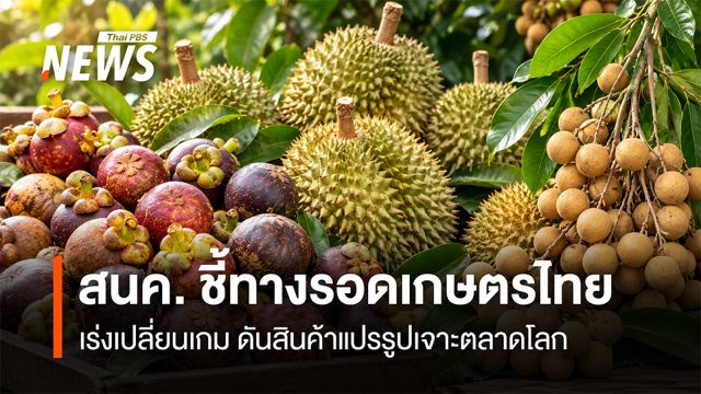 สนค. ชี้ทางรอดเกษตรไทย  เร่งเปลี่ยนเกม ดันสินค้าแปรรูปเจาะตลาดโลก