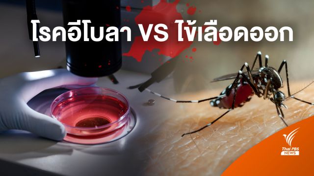 อาการที่ต่างกัน ระหว่าง โรคอีโบลา-ไข้เลือดออก