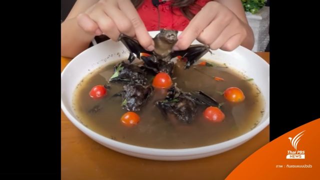 ประกาศตามตัว! สาวเปิบพิสดารกิน "ค้างคาว" รีบพบหมอด่วน 