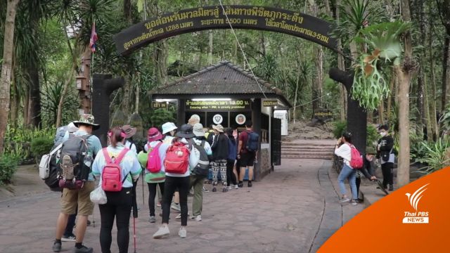 วันหยุดเอเปค คนกรุงเทพฯ เที่ยวภูกระดึงสัมผัสลมหนาว