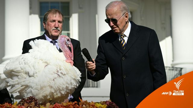ไบเดนไถ่ชีวิตไก่งวงในวันขอบคุณพระเจ้า