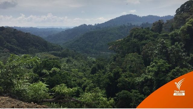 ครม.รับรอง One Map 11 จังหวัด เร่งแก้รุกป่า-ที่รัฐทับซ้อน