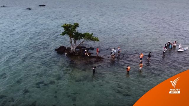  ห้ามขึ้นเหยียบ-ปีนต้นตะบัน "เกาะขายหัวเราะ" ทรุดโทรม  