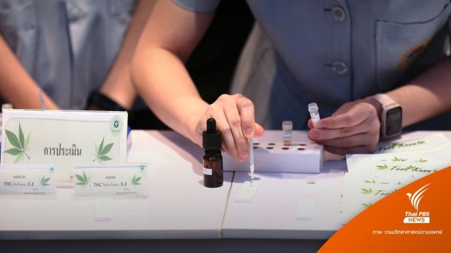 สำเร็จ! กรมวิทย์ฯ พัฒนาชุดตรวจกัญชา “Test Kann รู้ผล 15 นาที