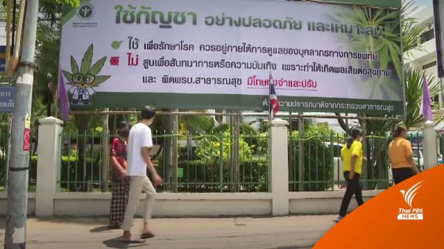 สสจ.ขอนแก่นพบ "แพ้กัญชา" 100 คน "เวียนหัว-คลื่นไส้" 