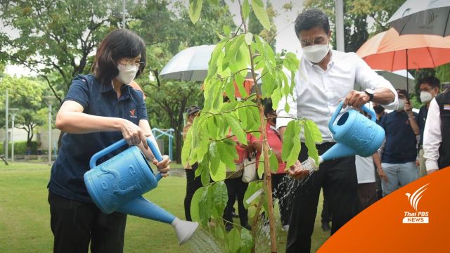 ไทยพีบีเอส-กทม.ร่วมปลูกต้นไม้เพิ่มพื้นที่สีเขียว 