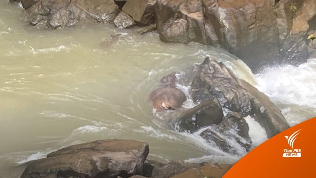 หัวหน้าอุทยานฯเขาใหญ่ ยืนยันช้าง 2 ตัวตกน้ำตกเหวนรกตาย