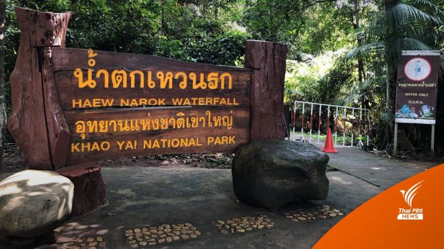 อุทยานฯ เขาใหญ่ปิดจุดน้ำตกเหวนรก 1 ส.ค - ก.ย.นี้ รอกู้ซากช้าง