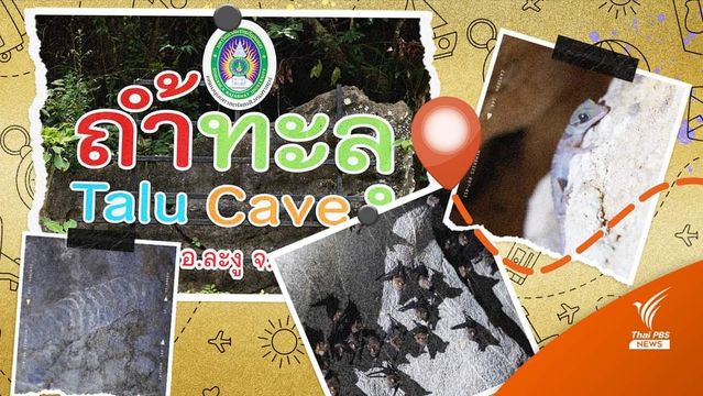 วันหยุดนี้​ ชวนเที่ยว​เชิงอนุรักษ์​ ดูสัตว์หายากใน​ "ถ้ำทะลุ"