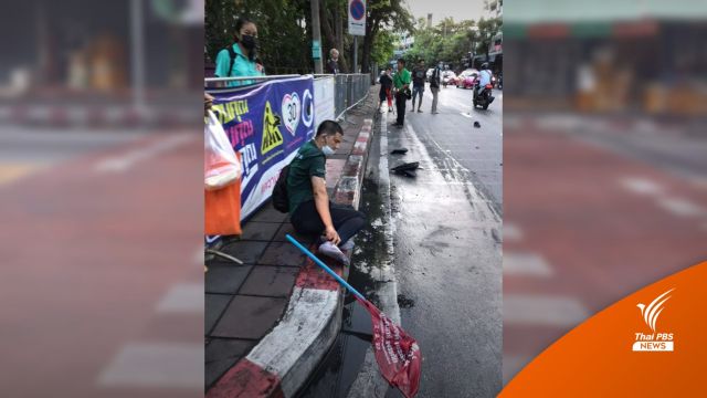 ชนคาธงแดง! ครูถูกรถเฉี่ยวทางม้าลายหน้าโรงเรียน "วิชูทิศ" 