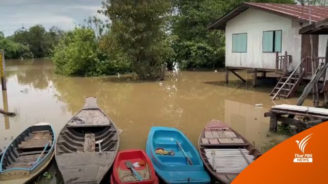 4 ลุ่มน้ำหลักน้ำท่วม 8.4 แสนไร่ "นาข้าว"เสียหาย 2.6 แสนไร่
