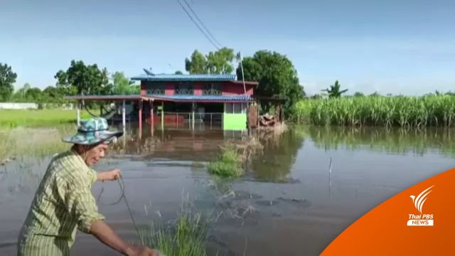 ฝนถล่มพะเยา! เตือนระยองขนของขึ้นที่สูง รับมือน้ำท่วม