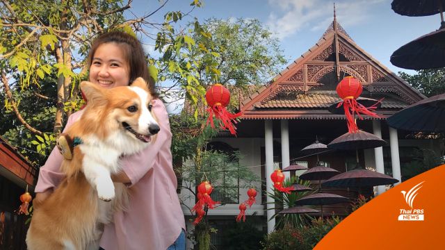 โรงแรมเก่าตามเทรนด์คนรุ่นใหม่ปรับเป็นที่พัก Pet​ Friendly