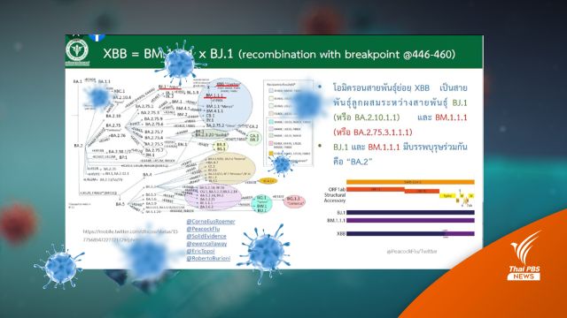 ด่วน! พบโควิดสายพันธุ์ XBB-BF.7 ในไทยรวม 4 คน  
