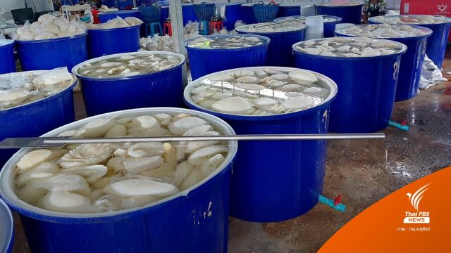 รมว.เกษตรฯ สั่งขยายผลจับเนื้อสัตว์ผสมฟอร์มาลีนทั่วประเทศ