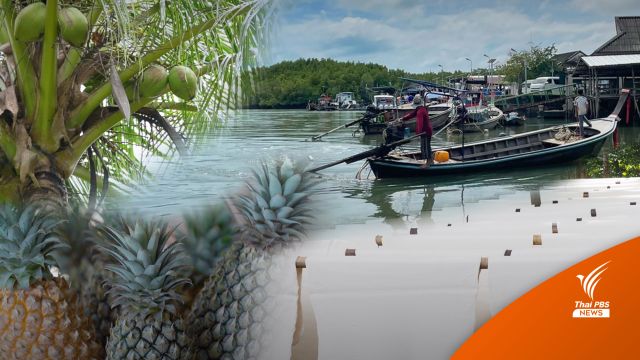 พลิกโควิดเป็นโอกาส “ชุมชนบ้านบางโรง” ยกระดับการท่องเที่ยวสัมผัสวิถีชีวิต 